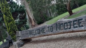 The Ultimate packing list for Noojee